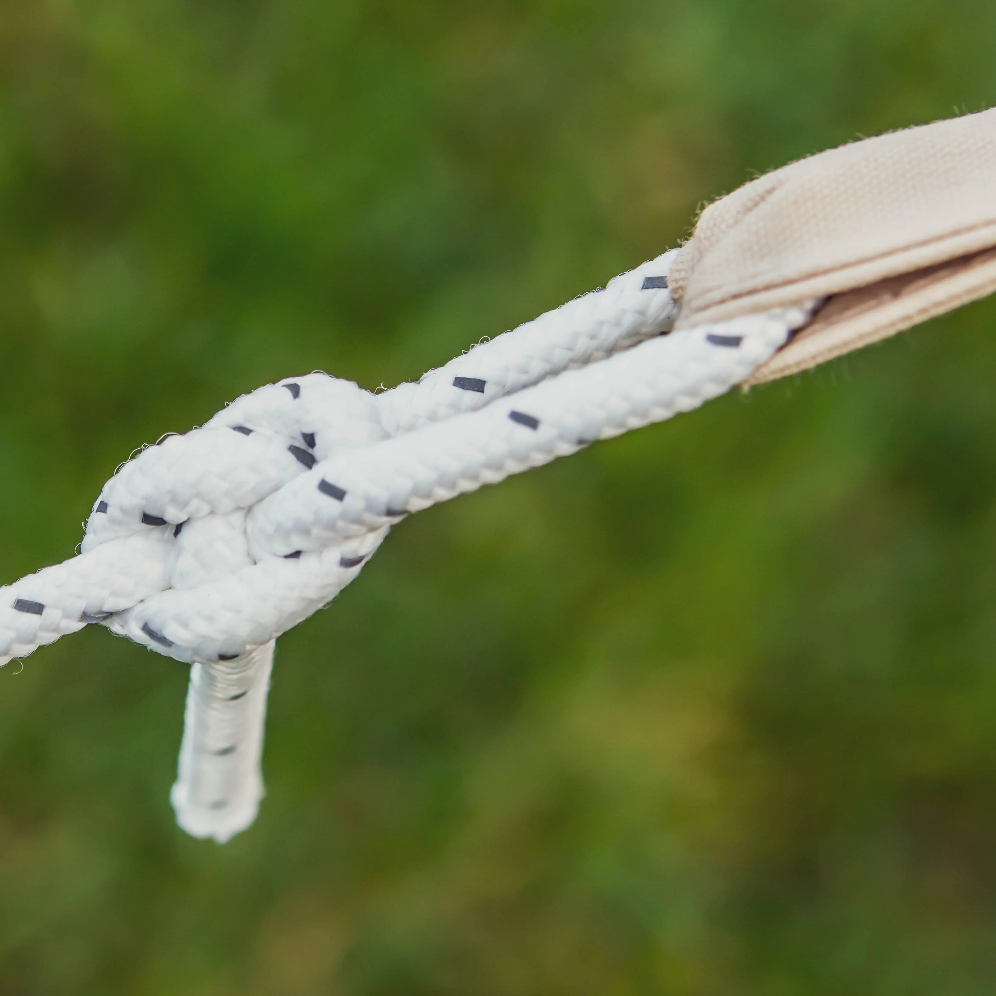 BELLE Tent - Image 15