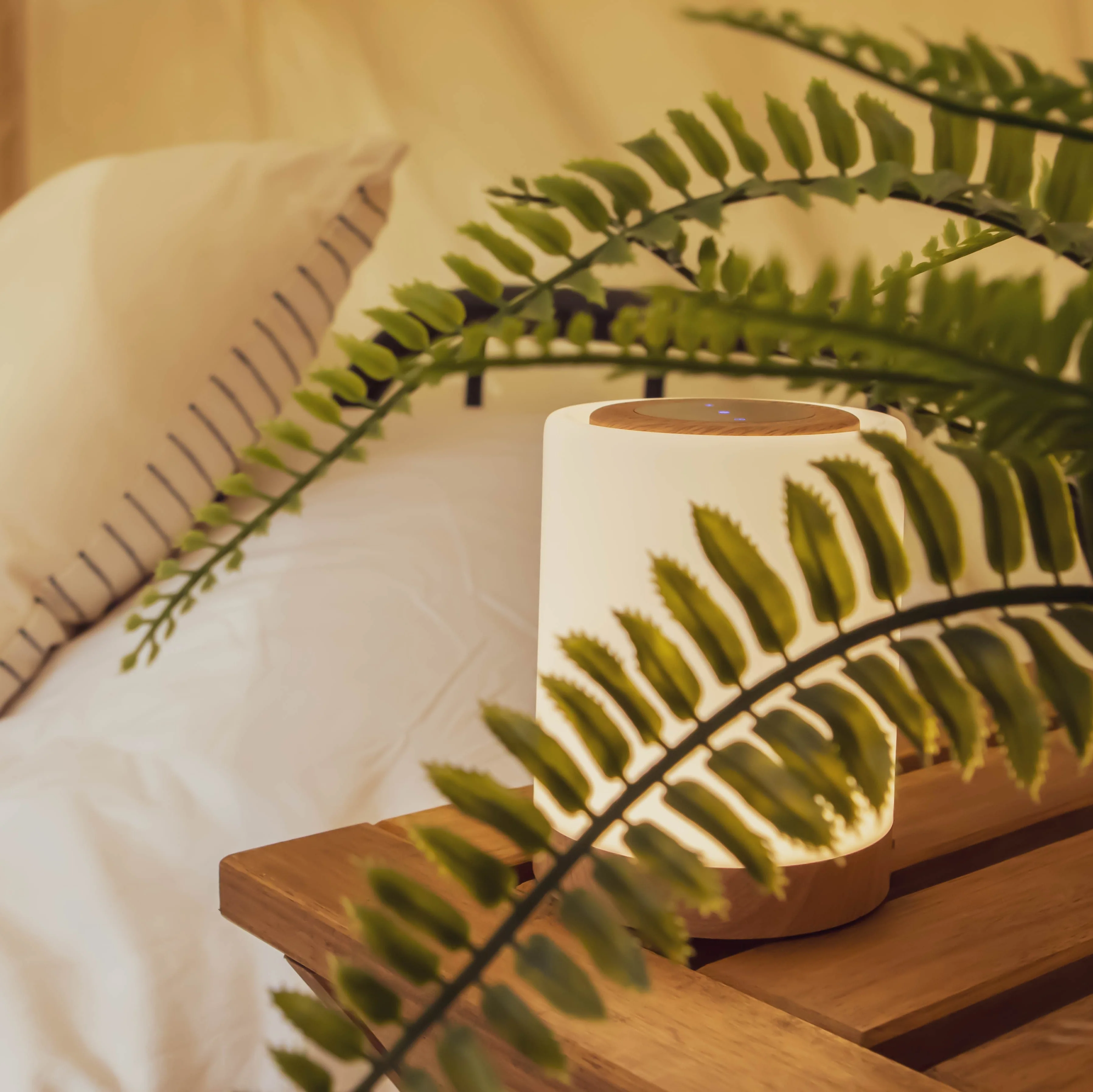 BELLE Tent - Image 16